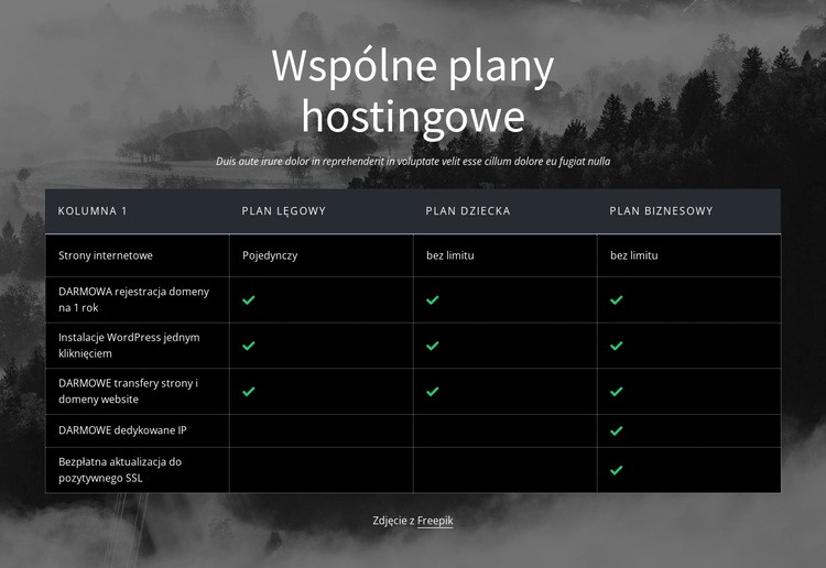 Wspólne plany hostingowe Projekt strony internetowej