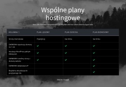 Wspólne Plany Hostingowe - Strona Docelowa