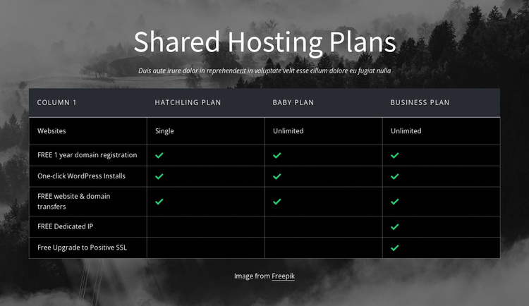 Shared hosting plans Template