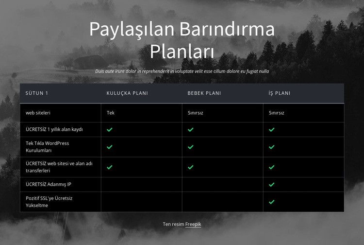 Paylaşılan barındırma planları Web sitesi tasarımı