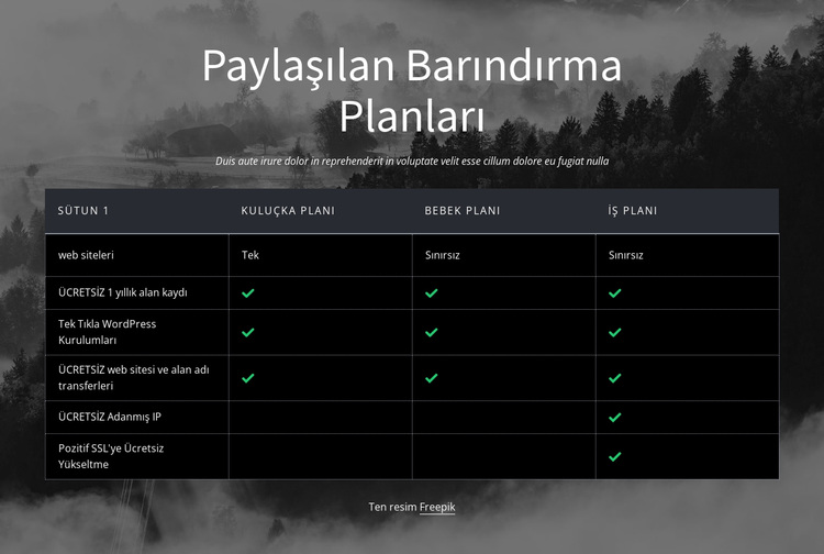 Paylaşılan barındırma planları WordPress Teması