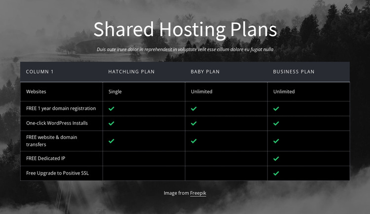 Shared hosting plans Website Builder Templates