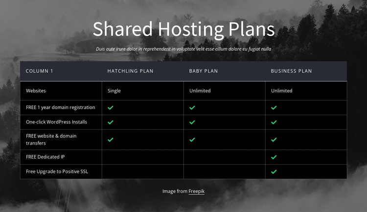 Shared hosting plans Website Mockup