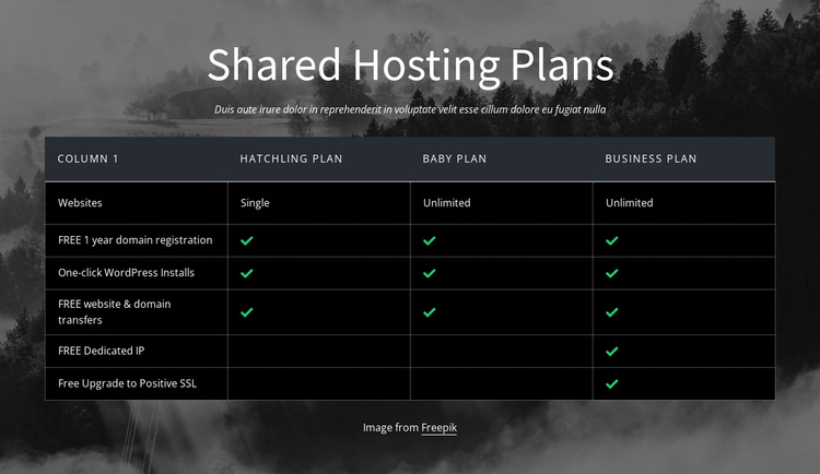 Shared hosting plans Website Template