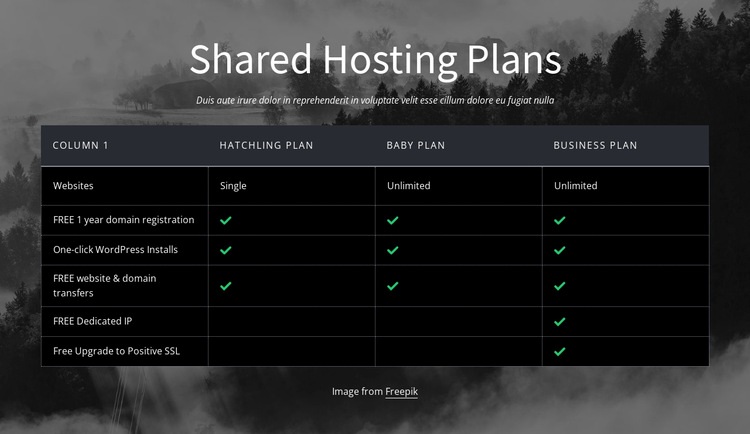Shared hosting plans Wix Template Alternative