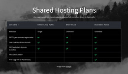 Shared Hosting Plans Option Plan