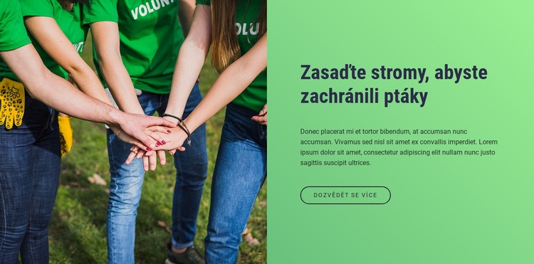 Zasaďte stromy, abyste zachránili pobyt ptáků Šablona CSS