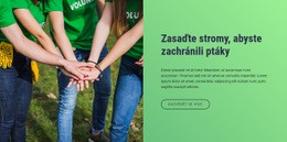 Zasaďte Stromy, Abyste Zachránili Pobyt Ptáků – Jednoduchá Šablona Webu