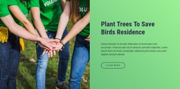 Plant Trees To Save Birds Residence Clean And Minimal Template