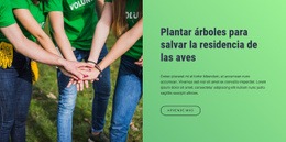 Plantilla En Línea Gratuita Para Plantar Árboles Para Salvar La Residencia De Los Pájaros