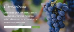 CSS Gratuito Para Nos Encantaría Saber De Ti