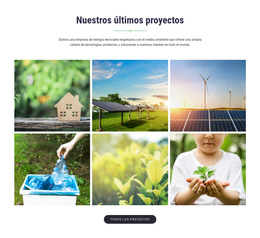 Nuestros Últimos Proyectos: Plantilla De Sitio Web Adaptable