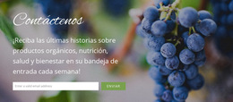 Plantilla CSS Para Nos Encantaría Saber De Ti
