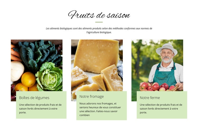 Fruits de saison Modèles de constructeur de sites Web