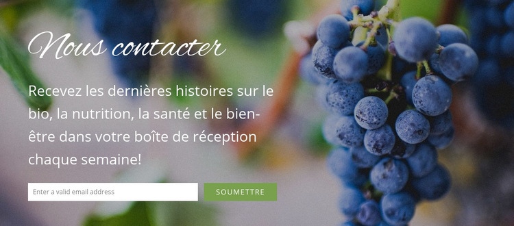 Nous aimerions recevoir de vos nouvelles Créateur de site Web HTML