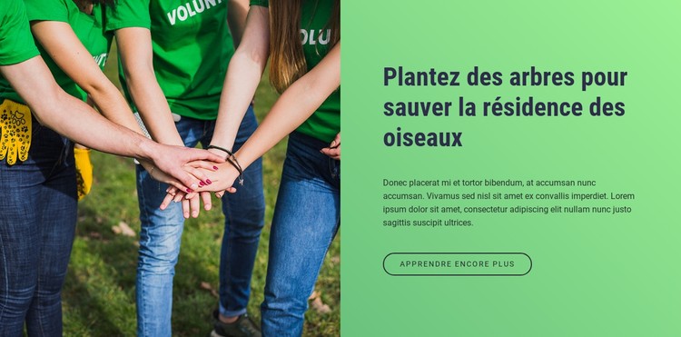 Plantez des arbres pour sauver la résidence des oiseaux Modèle CSS