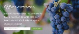 Nous Aimerions Recevoir De Vos Nouvelles – Modèle Vierge HTML5