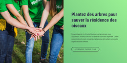 Plantez Des Arbres Pour Sauver La Résidence Des Oiseaux Magazine Joomla
