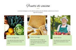 Fruits De Saison : Modèle De Site Web Simple