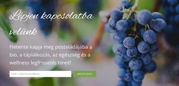 Szeretnénk Hallani Felőled - Egyszerű Webhelytervezés