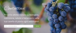 Generatore Di Siti Web Pronto All'Uso Per Ci Piacerebbe Sentire La Tua Opinione