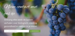 We Zouden Graag Van Je Horen - Professioneel WordPress-Thema