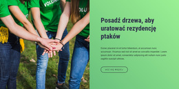 Zasadź Drzewa, Aby Uratować Miejsce Zamieszkania Ptaków - Inspiracje Motywem WordPress