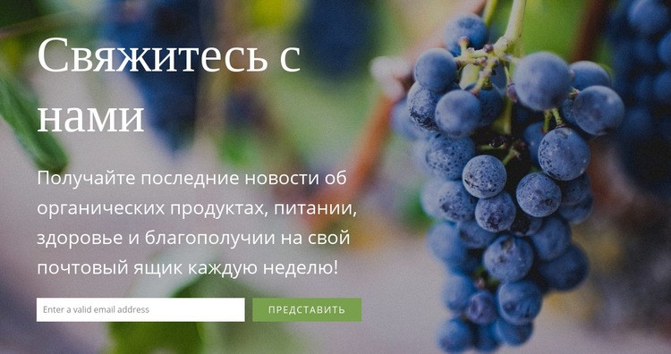 Мы хотели бы услышать от вас CSS шаблон