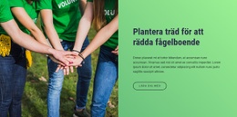 Gratis Onlinemall För Plantera Träd För Att Rädda Fågelboende