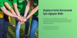 Kuşların Evini Kurtarmak Için Ağaç Dikin - Kullanıma Hazır Açılış Sayfası