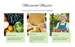 Mevsim Meyveleri HTML CSS Web Sitesi Şablonu