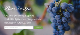 Sizden Haber Almak Isteriz Için Web Tasarımı