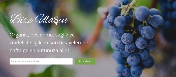 Sizden haber almak isteriz HTML Şablonu