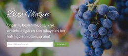 Sizden Haber Almak Isteriz - Online HTML Generator