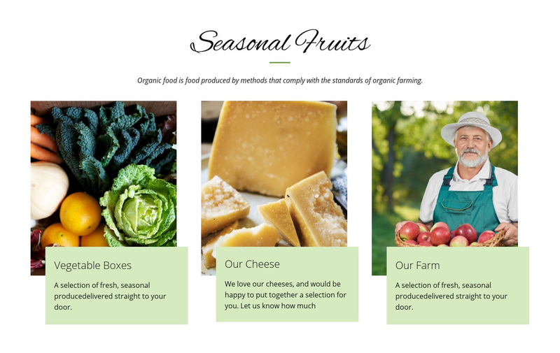 Seasonal fruits Web Page Design