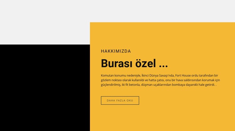 Metin Yeri Özeldir Html Web Sitesi Oluşturucu