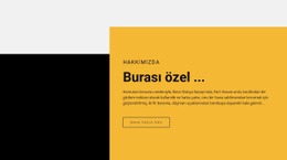 Metin Yeri Özeldir Için Web Sitesi Tasarımcısı