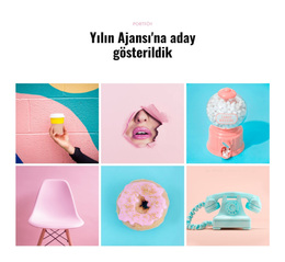 Portföy Ajansı Için Premium WordPress Teması