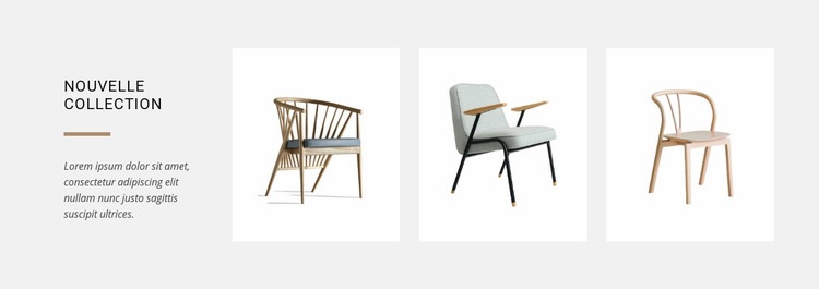 Nouvelles collections de chaises Maquette de site Web