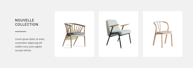 Nouvelles collections de chaises Modèle de site Web