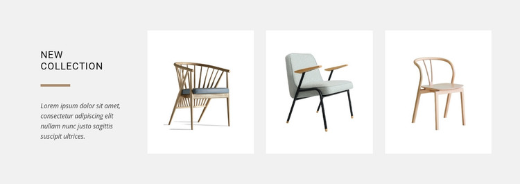 New collections of chairs Homepage Design