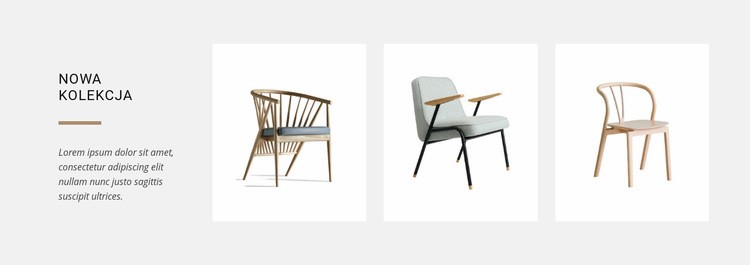 Nowe kolekcje krzeseł Makieta strony internetowej