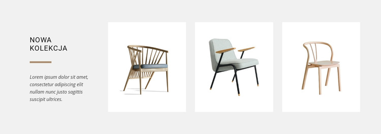 Nowe kolekcje krzeseł Szablon witryny sieci Web