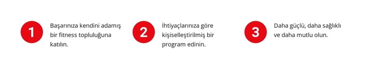 Sayı içeren metinler CSS Şablonu