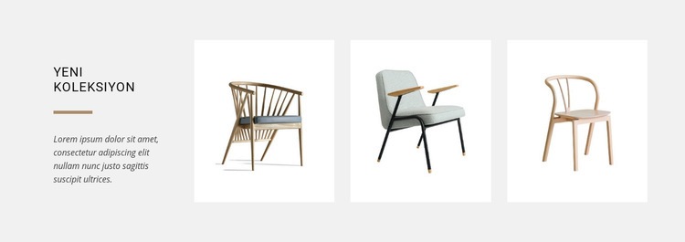 Yeni sandalye koleksiyonları Web Sitesi Mockup'ı