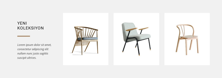 Yeni sandalye koleksiyonları Web Sitesi Şablonu