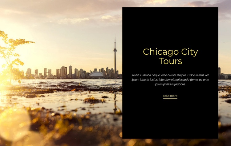 Chicago City Tours Elementor Template Alternative