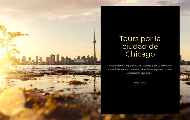 Tours por la ciudad de Chicago Maqueta de sitio web