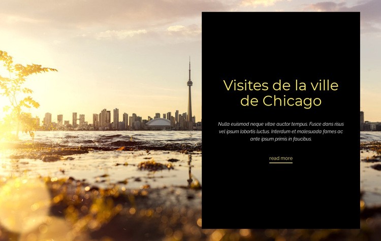 Visites de la ville de Chicago Conception de site Web