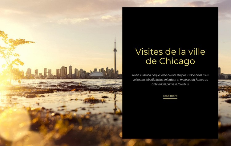 Visites de la ville de Chicago Créateur de site Web HTML